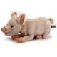 Bild von Schwein PREMIUM Ferkel Glücksschwein liegend Plüschtier Kuscheltier Dekotier HOPE