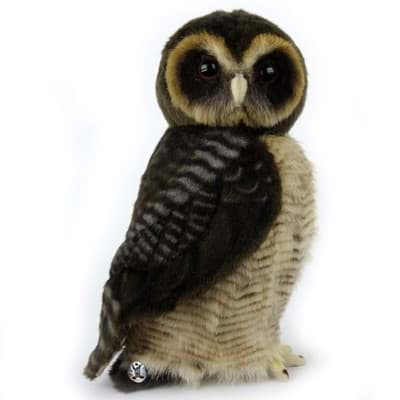 Bild von Eule PREMIUM Vogel Malaienkauz Brown Wood Owl Plüschtier Dekotier ARAMIS